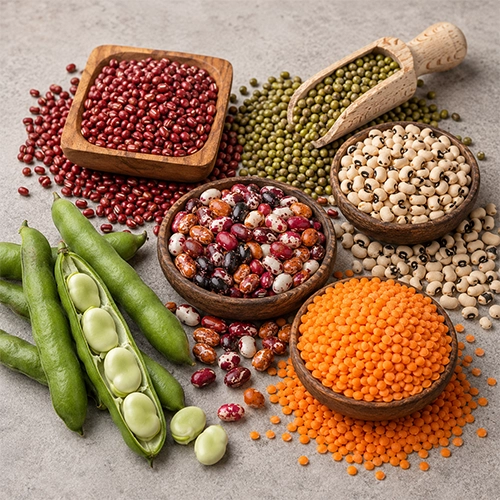 Pulses & Legumes Seeds