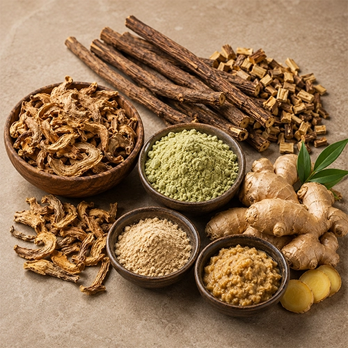 Root & Rhizome Spices