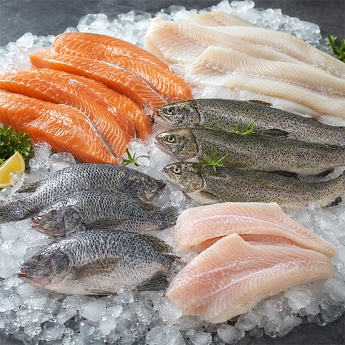 Freshwater Fish