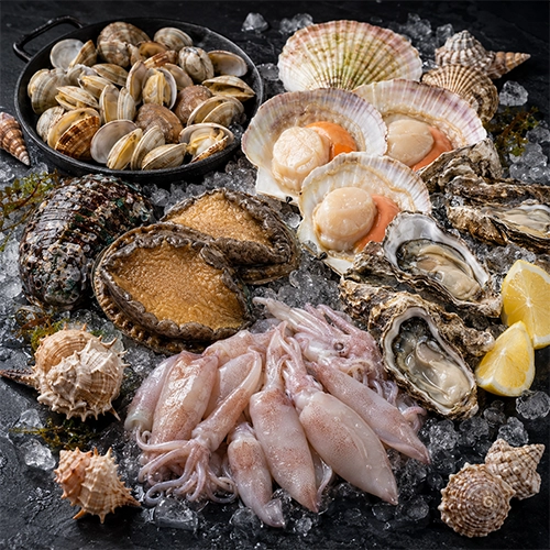Mollusks & Cephalopods