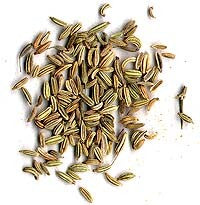 Spice & Condiment Seeds