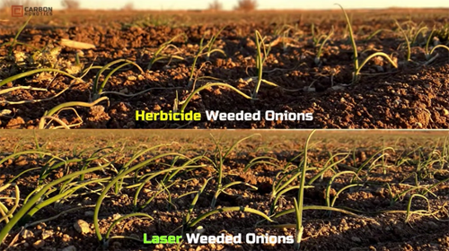 WEEDING ROBOTS