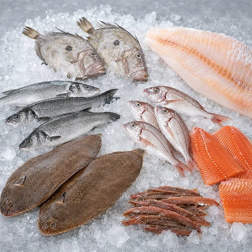 Saltwater Fish