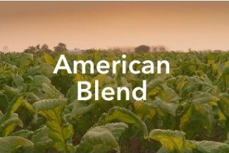 European & American Blends