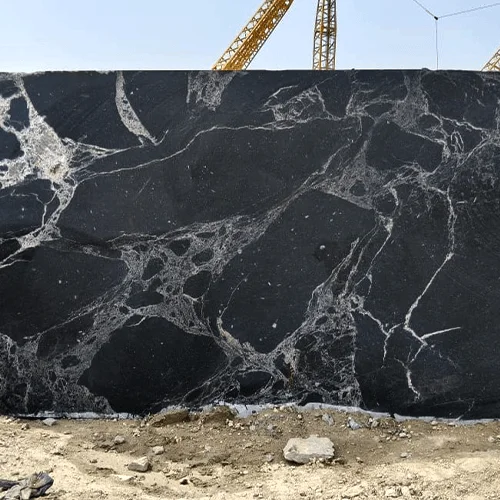 Polished Black Marble Slab with Dramatic White Spider Veining image 3