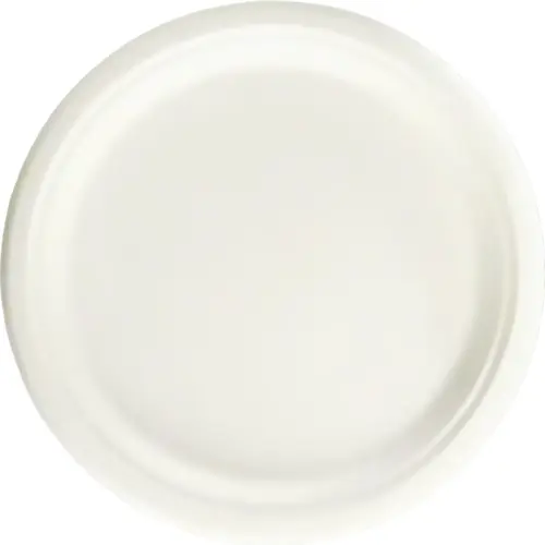 Sugarcane Bagasse Disposable Tableware for Takeaway and Foodservice image 5