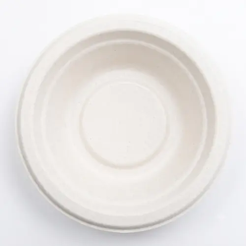 Sugarcane Bagasse Disposable Tableware for Takeaway and Foodservice image 20