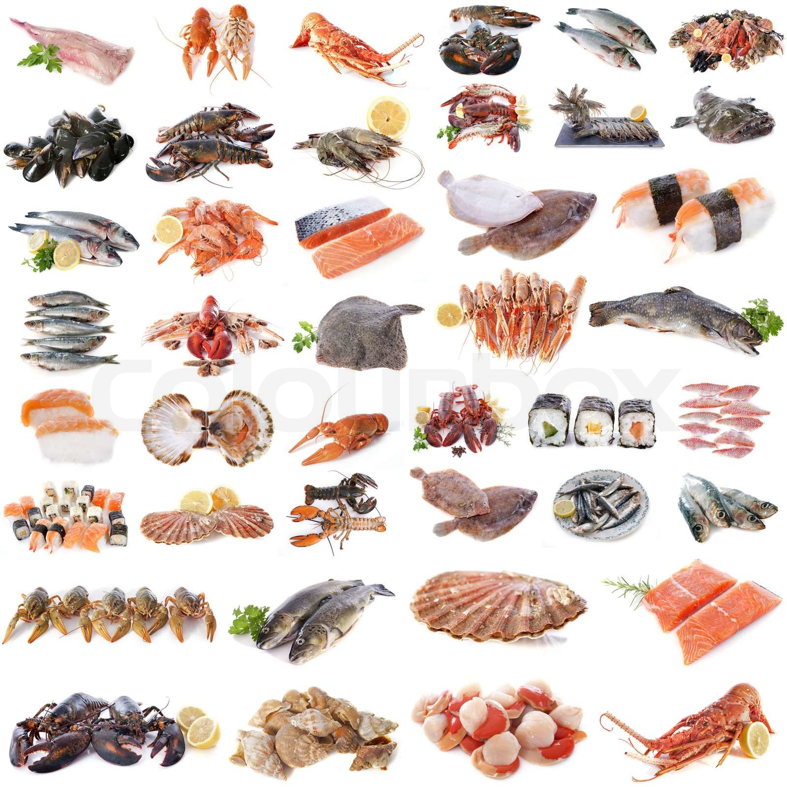 Fish Trimmings & Minced Fish