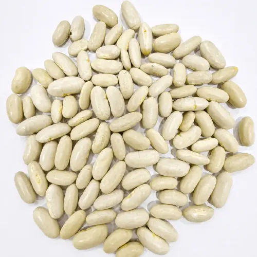 Premium White Kidney Beans for Food Processing and Export image 2