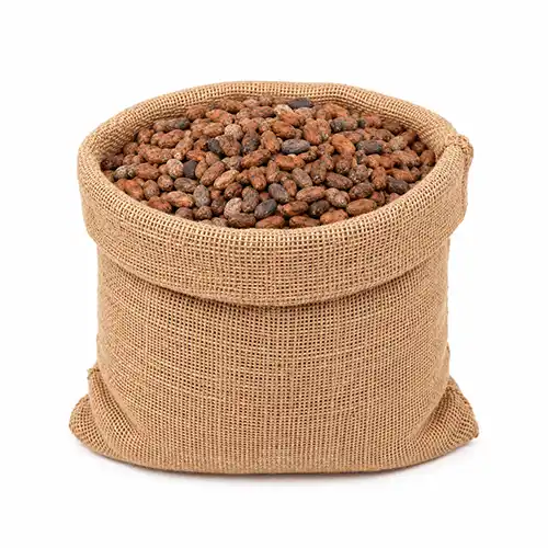 Premium Raw Cocoa Beans image 4