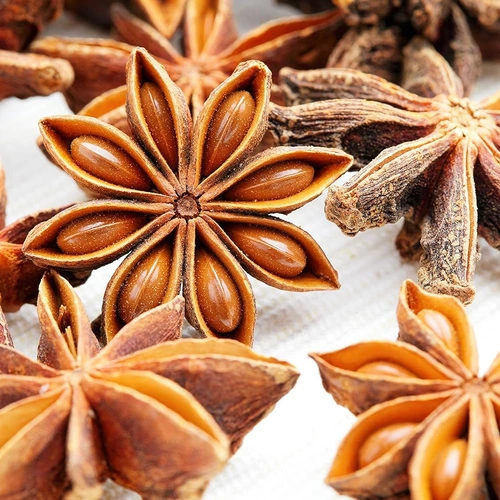 Whole Star Anise for Spice Blends, Beverages, and Wholesale Supply image 4