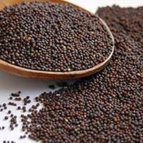 Whole Black Mustard Seeds for Spice Blends, Pickling, and Wholesale Supply image 2