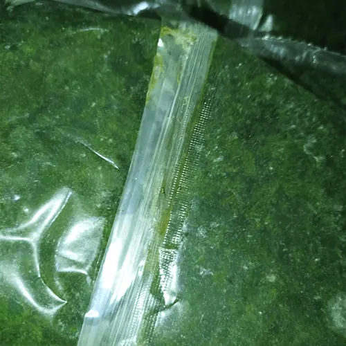 Premium Frozen Minced Molokhiya Leaves for Authentic Middle Eastern Culinary Applications image 3