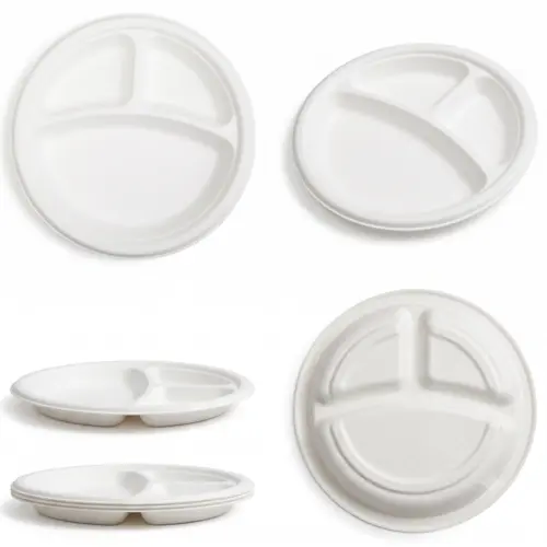 Sugarcane Bagasse Disposable Tableware for Takeaway and Foodservice image 16