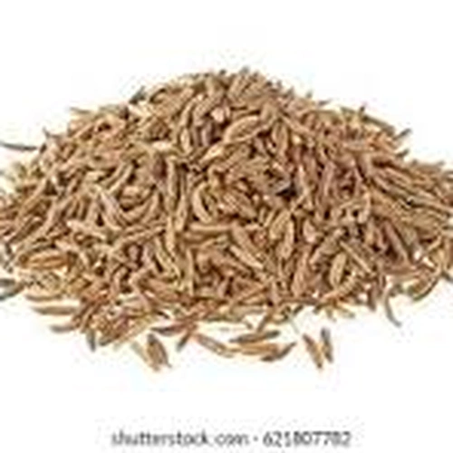 Whole Cumin Seeds for Spice Blends, Grinding, and Wholesale Supply image 11