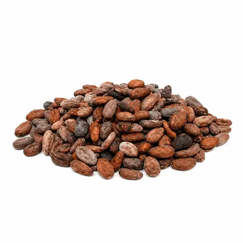Premium Raw Cocoa Beans image 3