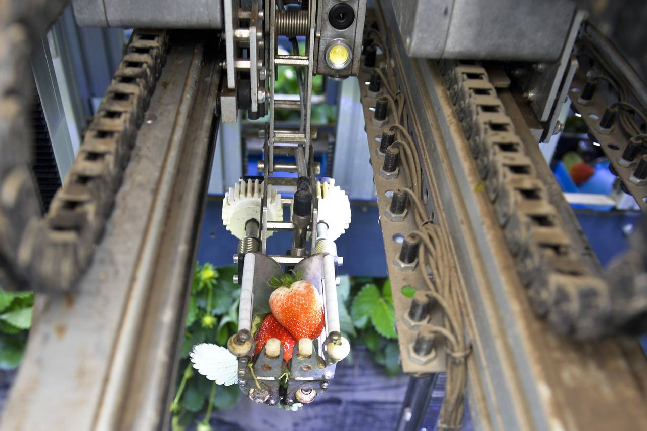 Specialty Planting Robots