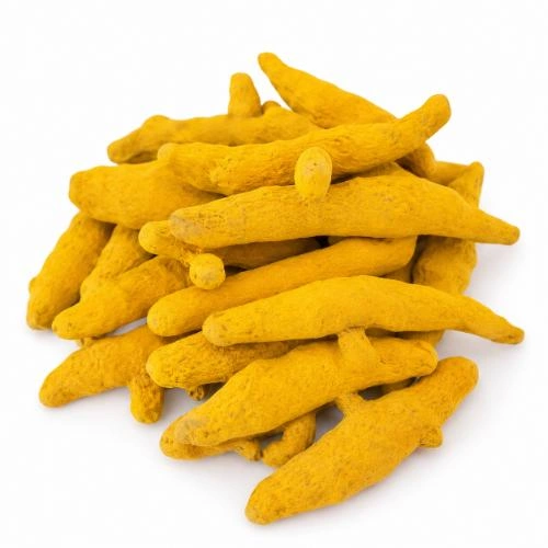 Premium Whole Dried Turmeric Finger with High Natural Curcumin Content