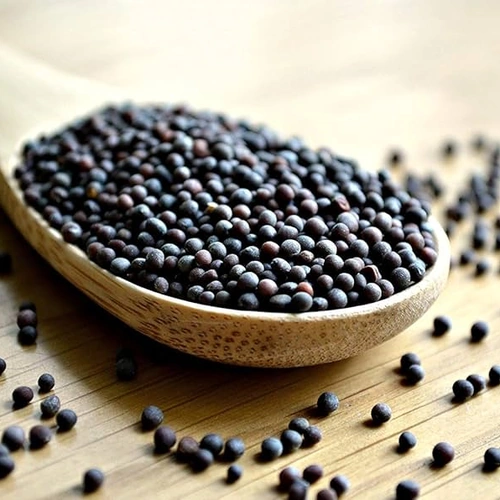 Whole Black Mustard Seeds for Spice Blends, Pickling, and Wholesale Supply image 3