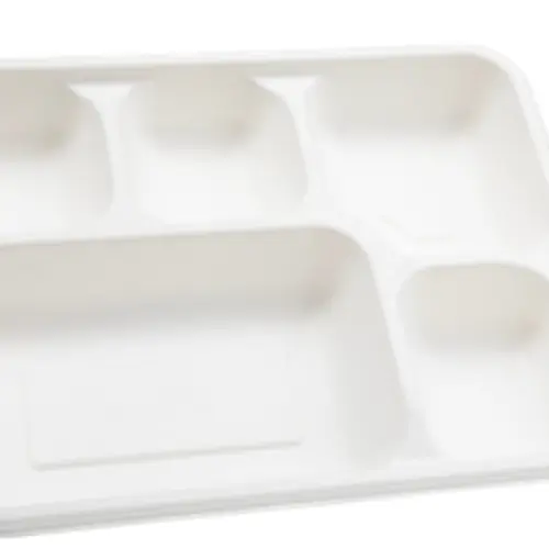 Sugarcane Bagasse Disposable Tableware for Takeaway and Foodservice image 17