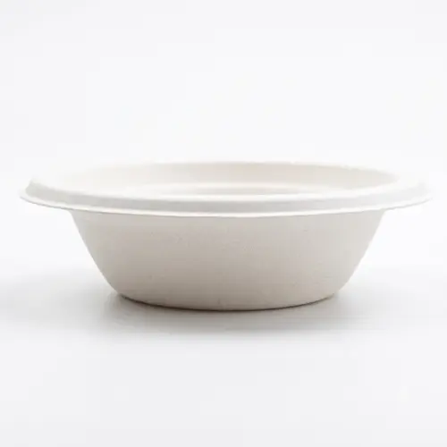 Sugarcane Bagasse Disposable Tableware for Takeaway and Foodservice image 13