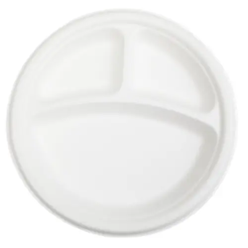 Sugarcane Bagasse Disposable Tableware for Takeaway and Foodservice image 22