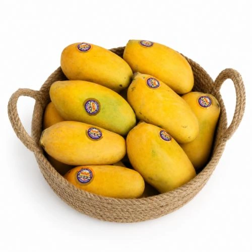 Fresh Chaunsa Mangoes: Premium Export-Grade Golden Mangoes for Wholesale Distribution image 3