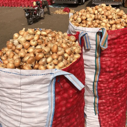 Premium Golden Onions for Wholesale and Export Distribution image 4
