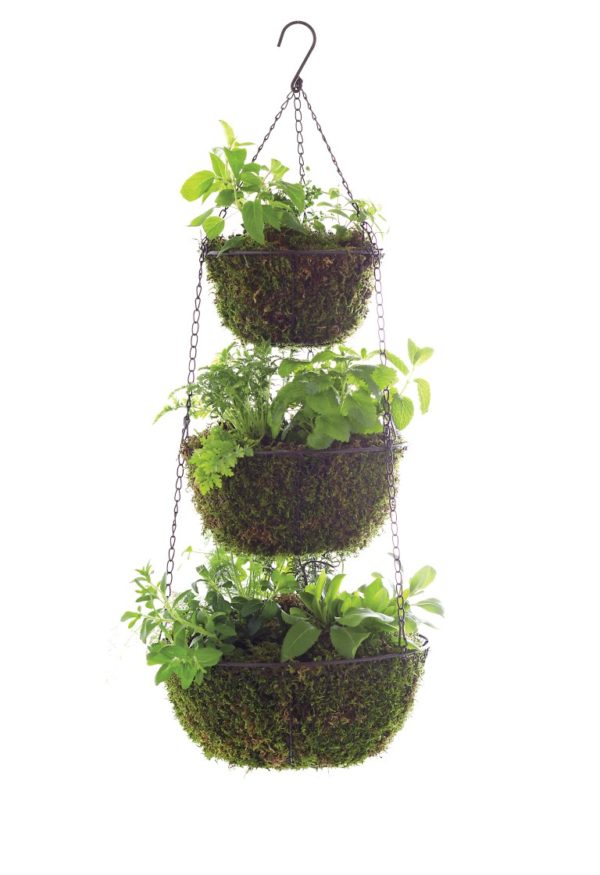 Hanging Herb Planters
