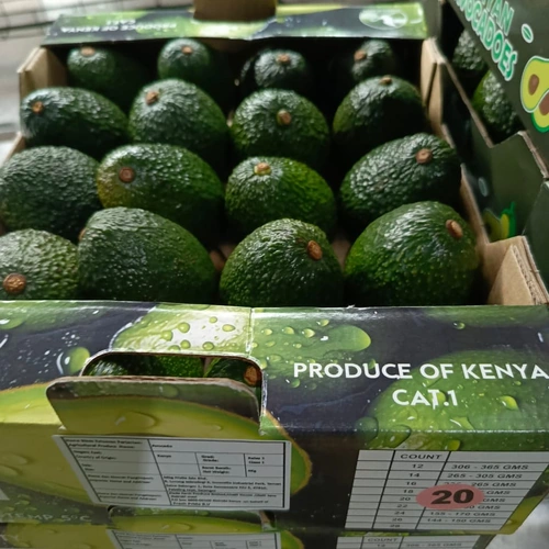 Premium Kenyan Fresh Hass Avocados for Commercial Wholesale Import image 3