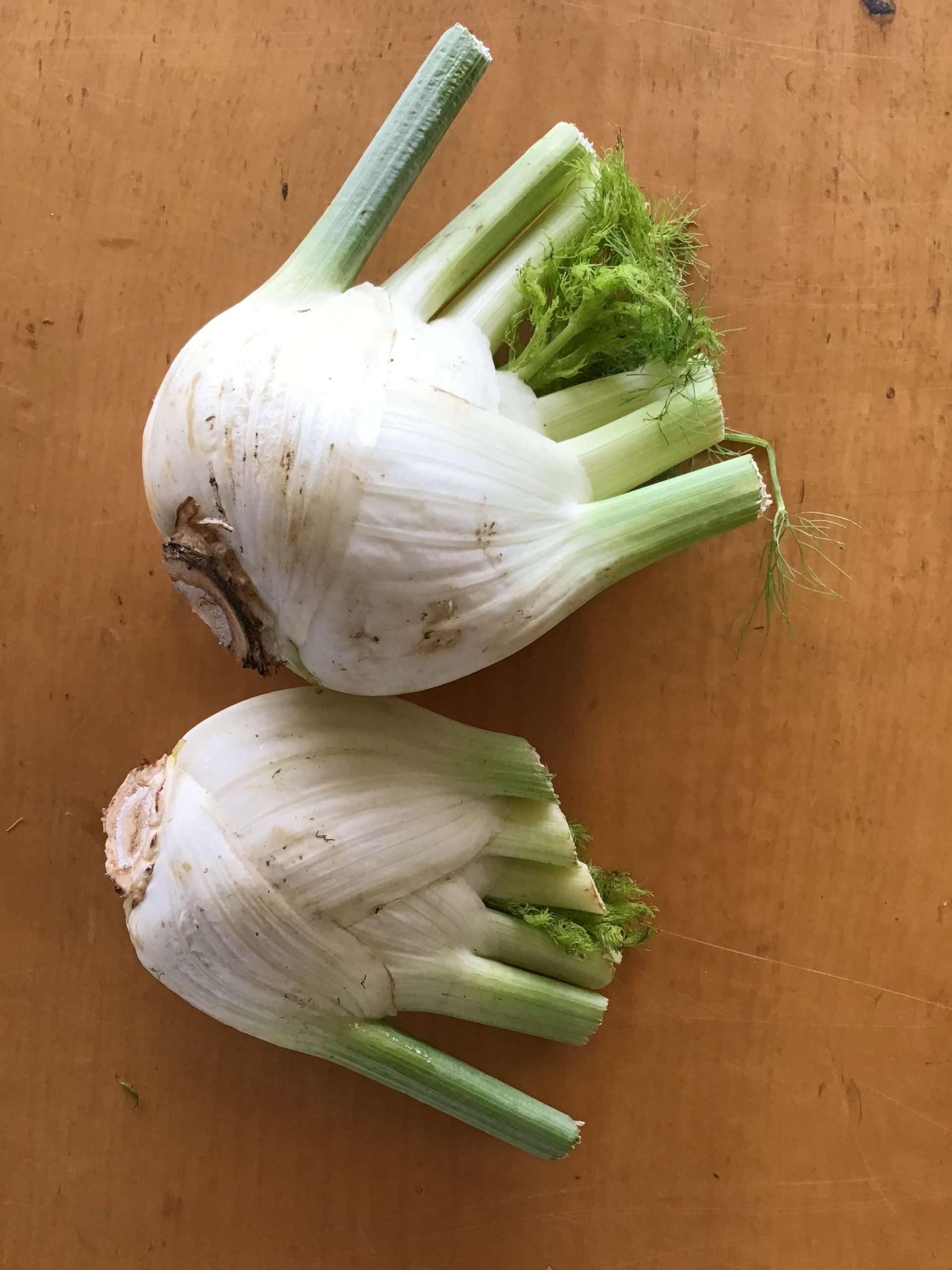 Fennel
