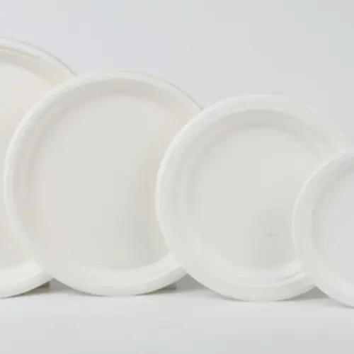 Sugarcane Bagasse Disposable Tableware for Takeaway and Foodservice image 10