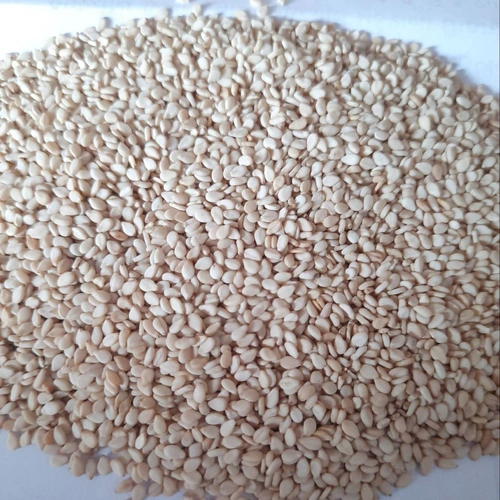 Natural White Sesame Seeds for Food Processing, Bakery, and Wholesale Supply image 2
