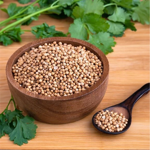 Whole Coriander Seeds for Spice Blends, Grinding, and Wholesale Supply image 7