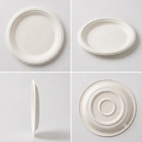 Sugarcane Bagasse Disposable Tableware for Takeaway and Foodservice image 27