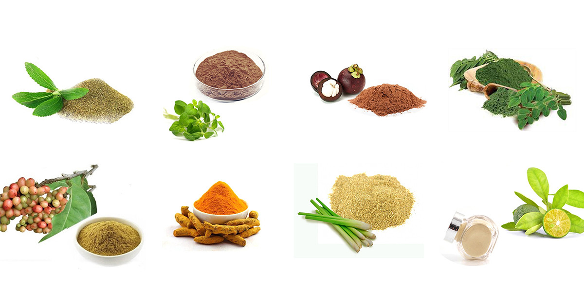 Herbal Powders & Blends