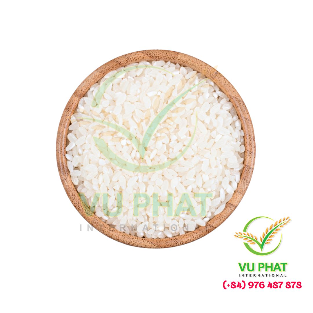 Japonica Rice