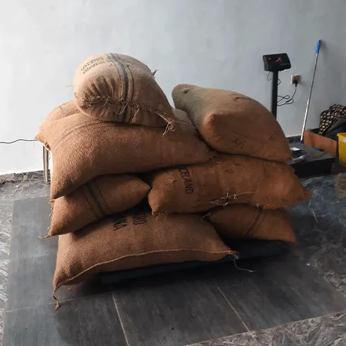 Premium Raw Cocoa Beans image 2