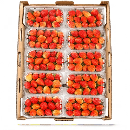 Fresh Premium Strawberries for Retail and Export Markets image 2