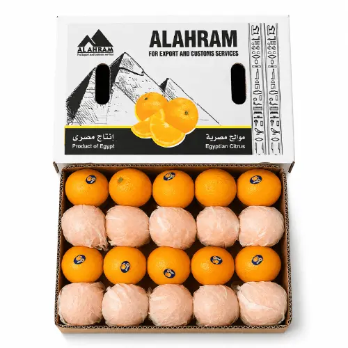 Fresh Premium Oranges for Retail, Wholesale and Export Markets image 2