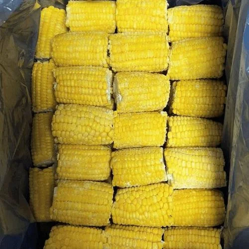 Frozen Sweet Corn Cob Segments for Foodservice and Export Markets image 3