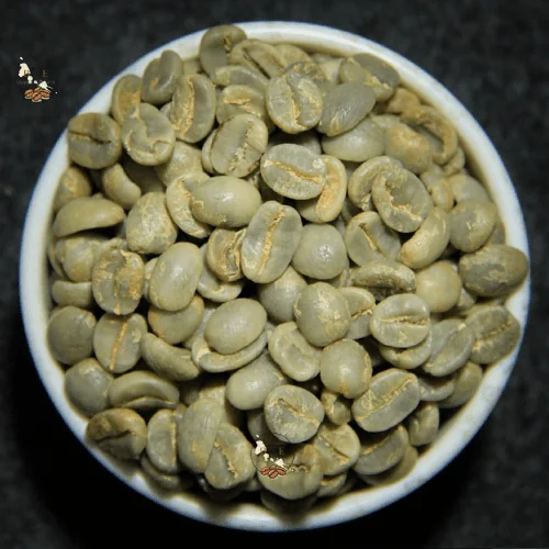Premium Monsoon Malabar Green Coffee Beans for Specialty Roasters image 2