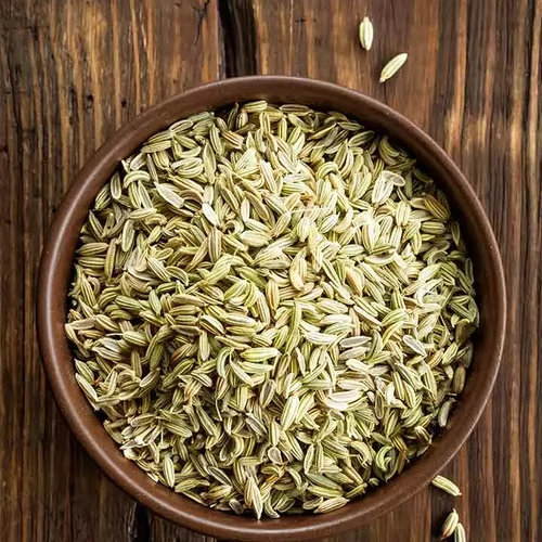 Whole Fennel Seeds for Spice Blends, Tea, and Wholesale Supply