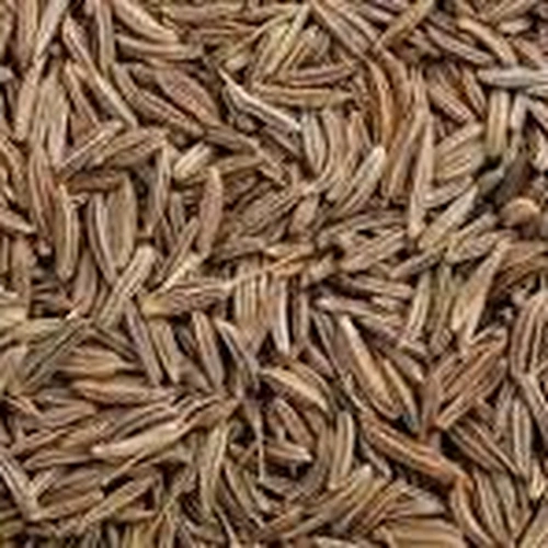 Whole Cumin Seeds for Spice Blends, Grinding, and Wholesale Supply image 10