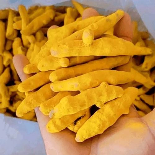 Premium Whole Dried Turmeric Finger with High Natural Curcumin Content image 2