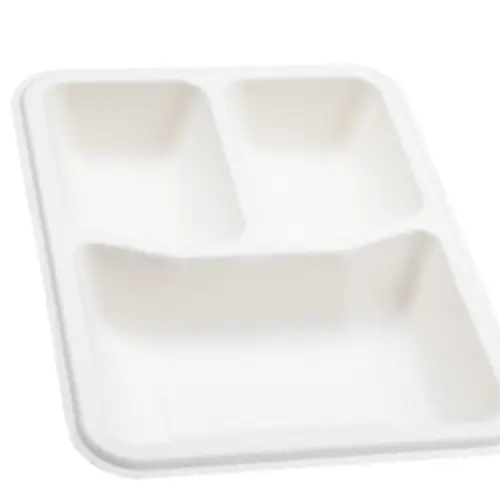 Sugarcane Bagasse Disposable Tableware for Takeaway and Foodservice image 2