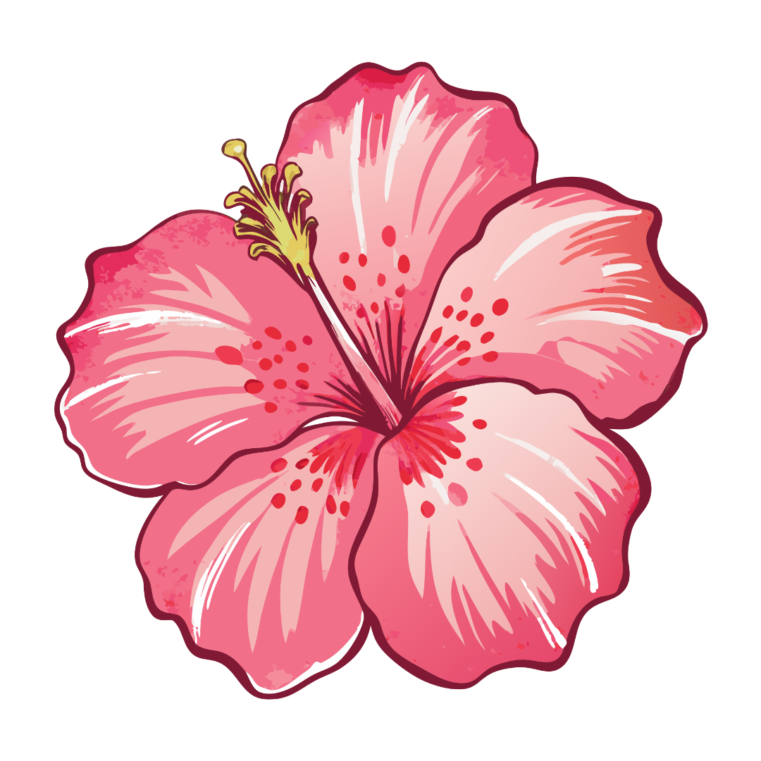 Hibiscus Flowers