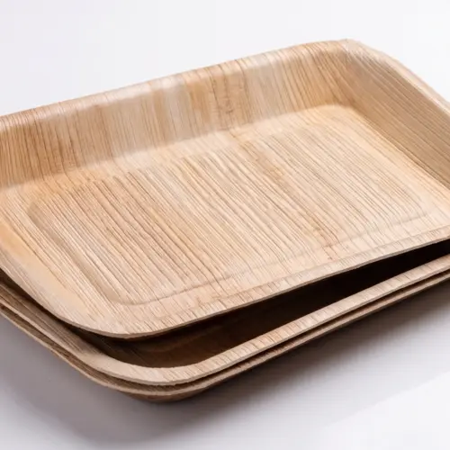 Areca Leaf Disposable Tableware for Foodservice and Catering image 9