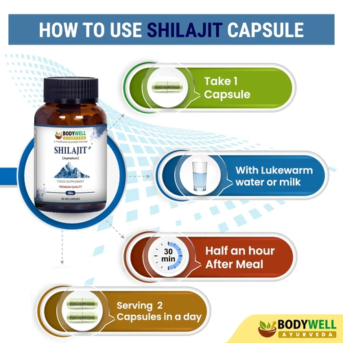 Shilajit 500mg Vegan Capsules for Ayurvedic Wellness Supplement image 3