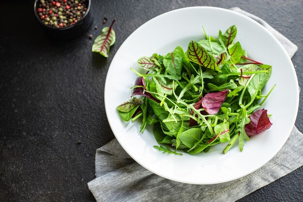 Leafy & Salad Seeds (Lettuce, Spinach, Swiss Chard, Arugula)